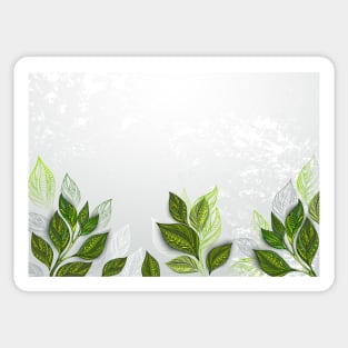 Background with tea plants Sticker